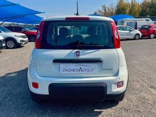 FIAT Panda usata 21