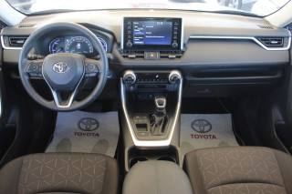 TOYOTA RAV 4 usata, con Fendinebbia