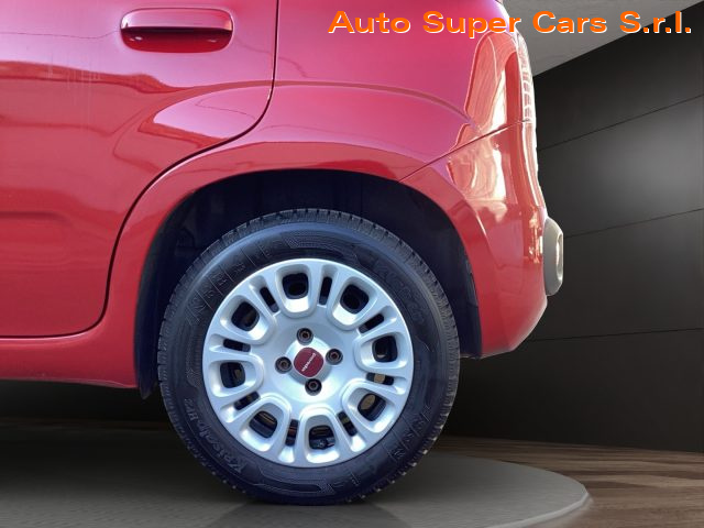 FIAT Panda usata 25