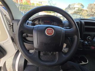FIAT Ducato usata 13