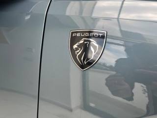 PEUGEOT 3008 usata, con Autoradio