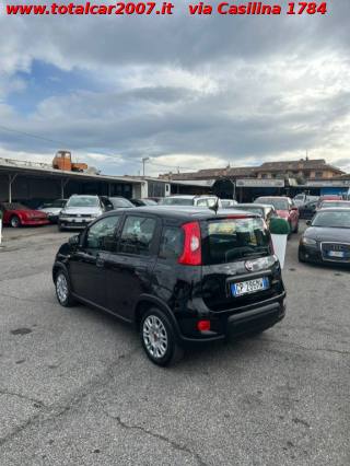 FIAT Panda usata, con Chiusura centralizzata