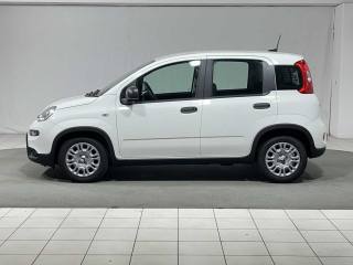 FIAT Panda usata, con Airbag