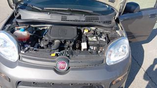 FIAT Panda usata 24