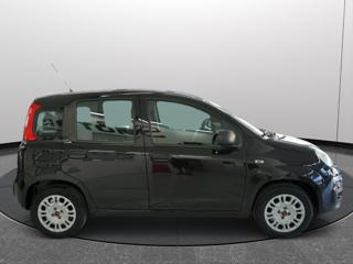 FIAT Panda usata 21