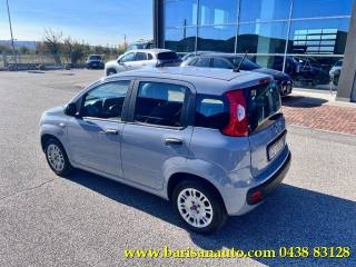 FIAT Panda usata, con Alzacristalli elettrici