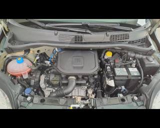 FIAT New Panda usata 26