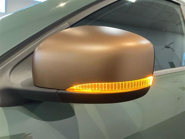 DACIA Spring usata 25