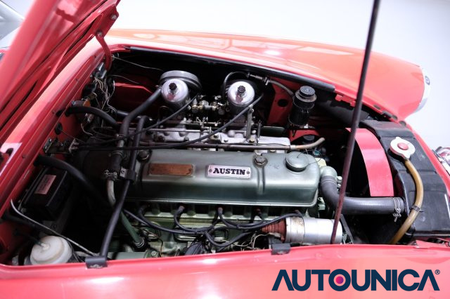 AUSTIN Healey usata 12