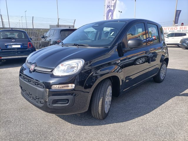 FIAT Panda usata, con Airbag Passeggero