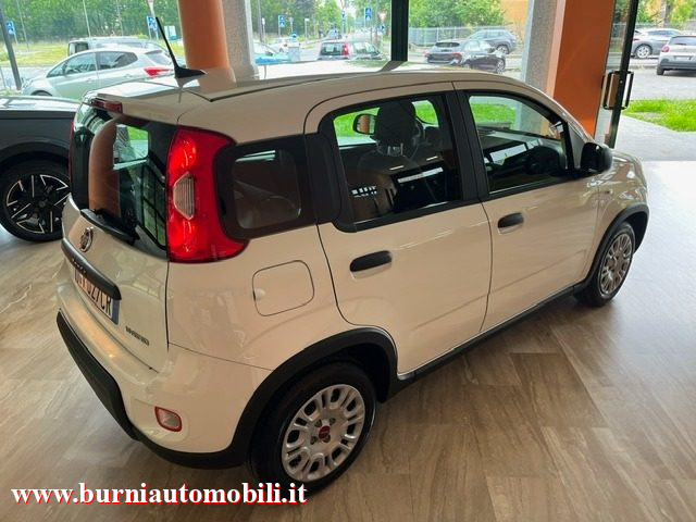 FIAT Panda usata, con Airbag Passeggero