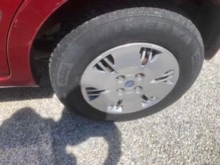 FIAT Panda usata 12