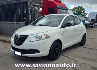 LANCIA Ypsilon 1.2 69 CV 5 porte Elefantino