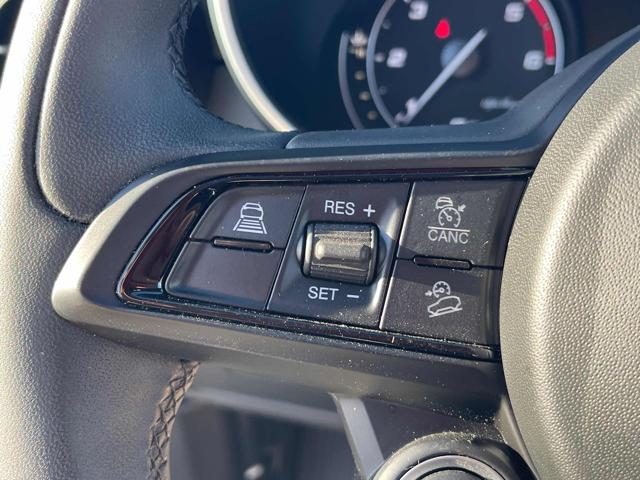 ALFA ROMEO Stelvio usata, con Airbag testa