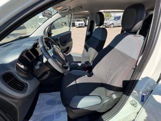 FIAT New Panda usata, con Climatizzatore