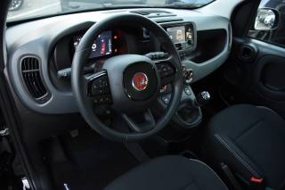 FIAT Panda usata, con Antifurto