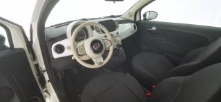 FIAT 500 usata 39