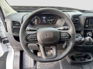 FIAT Ducato usata 10
