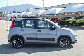 FIAT Panda usata, con Airbag Passeggero