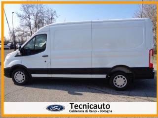 FORD Transit usata, con Bracciolo