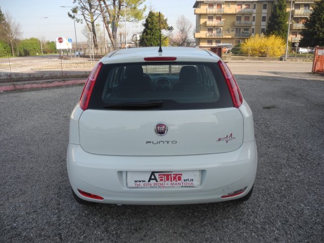 FIAT Punto usata 65