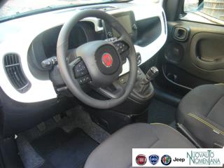 FIAT Panda Cross usata, con Servosterzo