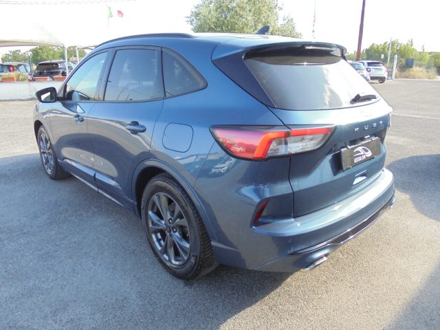 FORD Kuga usata, con Regolazione elettrica sedili