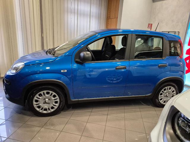 FIAT Panda usata, con Alzacristalli elettrici