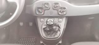FIAT Panda usata, con Isofix