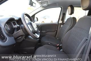 FIAT Panda usata 8