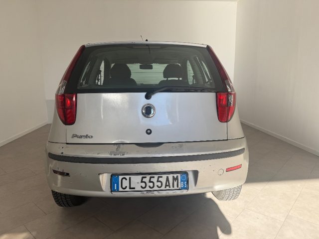 FIAT Punto usata 6