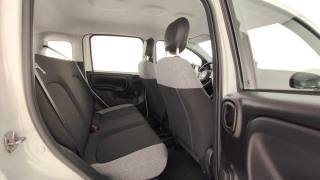 FIAT Panda usata 42
