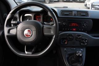 FIAT Panda usata, con Controllo trazione