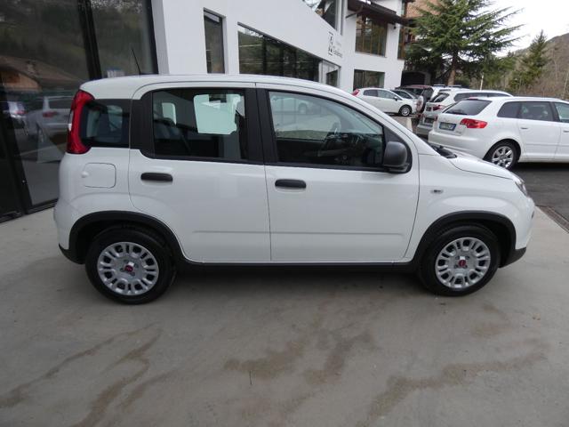 FIAT Panda usata, con Climatizzatore
