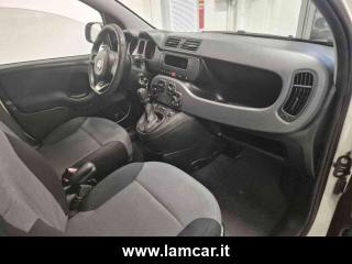 FIAT Panda usata 17