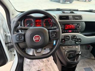 FIAT Panda usata 16