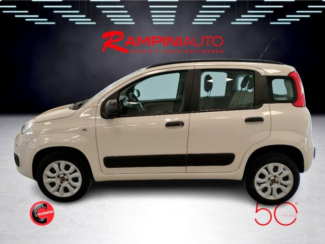 FIAT Panda usata 11