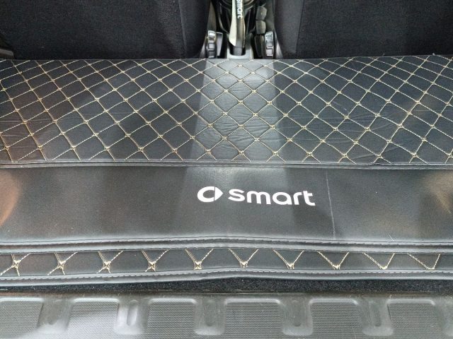 SMART ForTwo usata, con Tetto panorama