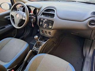FIAT Punto usata 16
