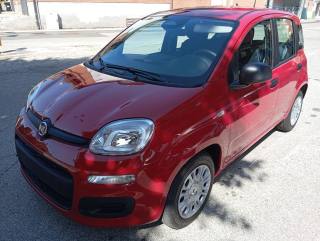 FIAT Panda 1.0 FireFly HYBRID KM 0 SENSORI POST PREZZO REALE