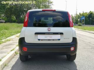 FIAT Panda usata, con Antifurto