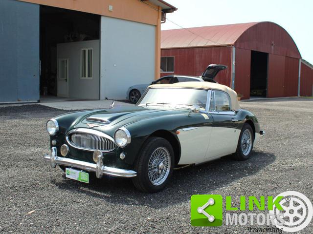 AUSTIN Healey usata 7