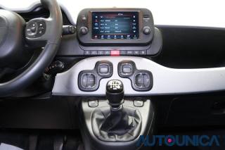 FIAT Panda usata 36