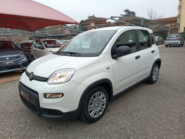FIAT Panda usata, con Airbag Passeggero