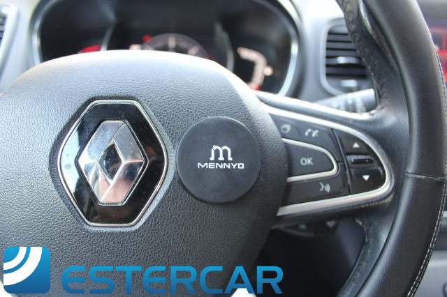 RENAULT Scenic usata, con Servosterzo