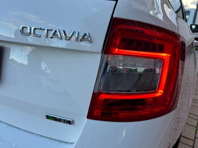SKODA Octavia usata, con USB