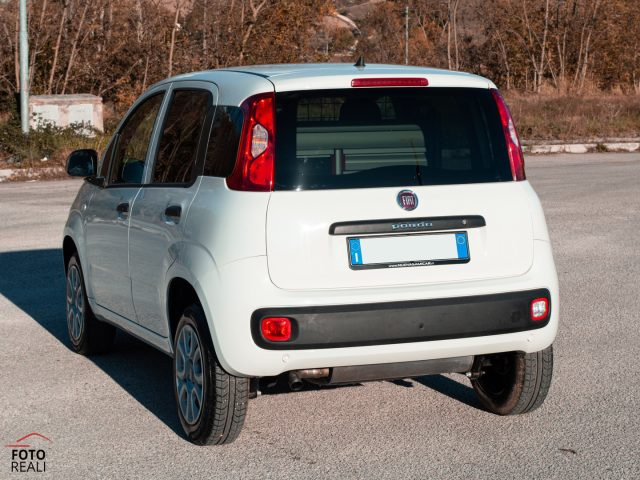 FIAT Panda usata, con Sensori di parcheggio posteriori