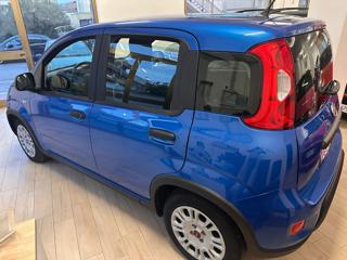 FIAT Panda usata, con Climatizzatore