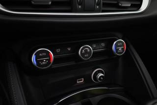 ALFA ROMEO Stelvio usata 11