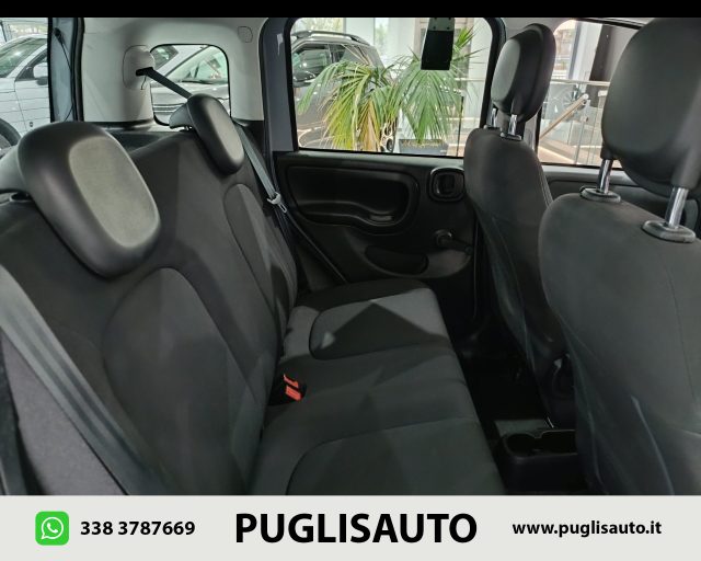 FIAT Panda Cross usata, con Airbag testa